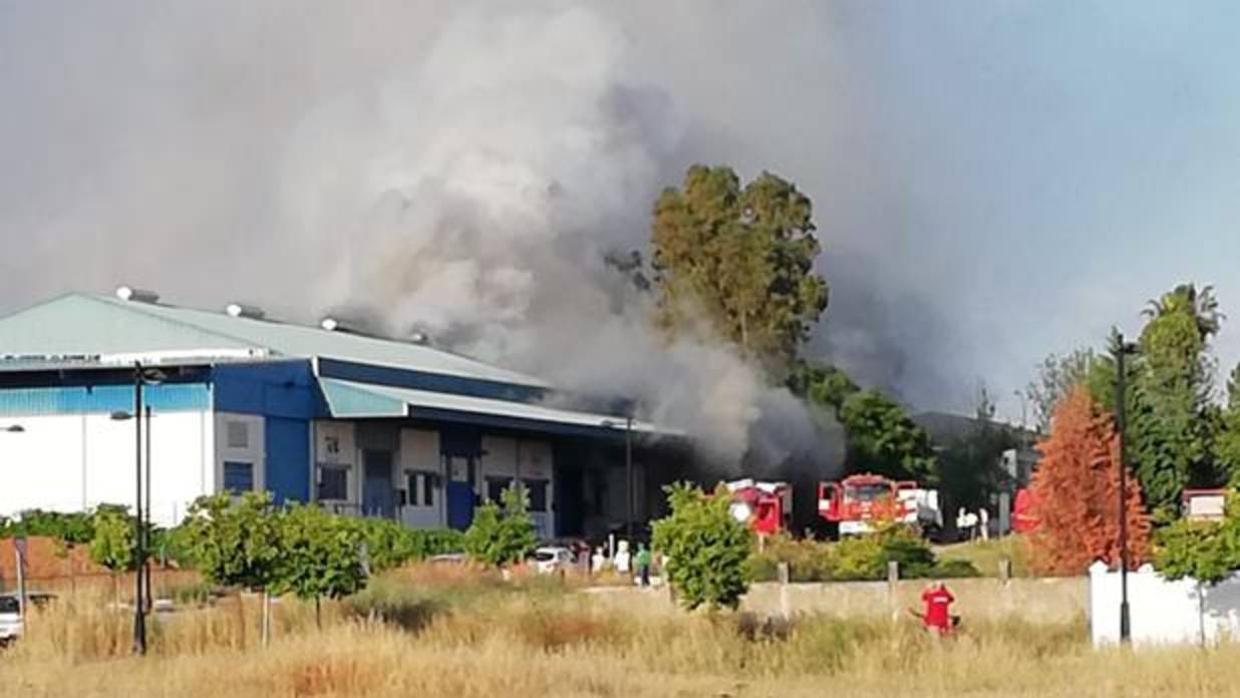 Un incendio en la escuela de empresas de Palma del Río obliga a desalojar a 46 personas