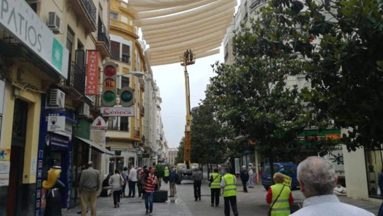 Operarios, hoy colocando los toldos en la calle Cruz Conde