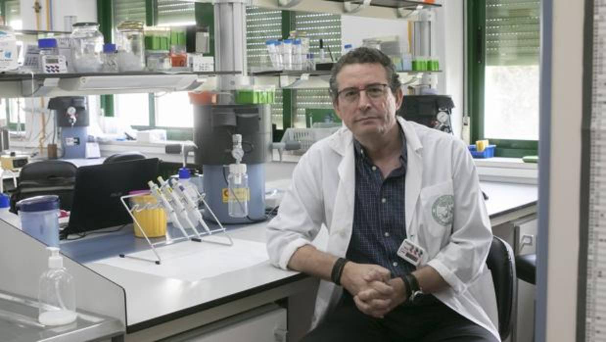 Juan José Garrido, en su laboratorio de investigación de la Universidad de Córdoba