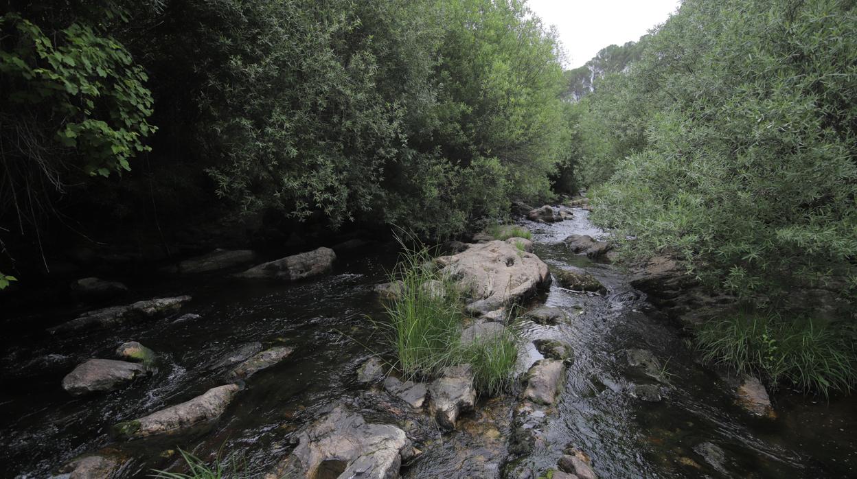 Zona donde fue localizado el cadáver del menor ahogado en los Baños de Popea