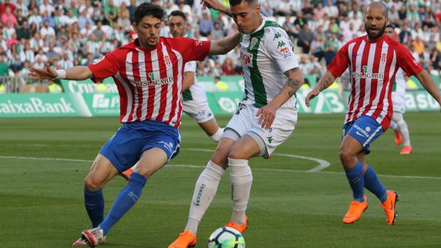 Las notas de los jugadores del Córdoba CF ante el Sporting de Gijón