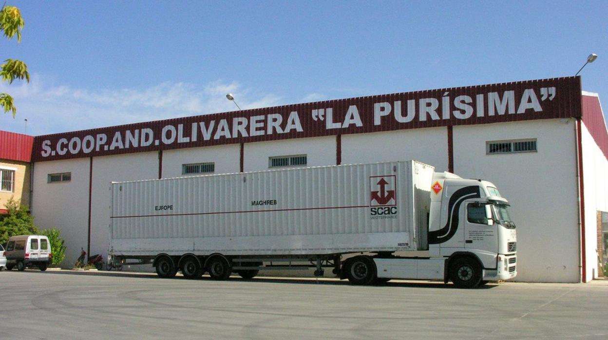 Una cooperativa olivarera de la provincia de Córdoba