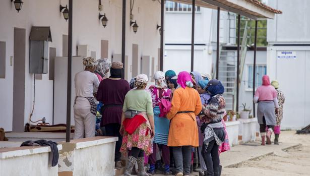 Trabajadoras temporeras marroquies en las viviendas de una finca de fresas en Almonte