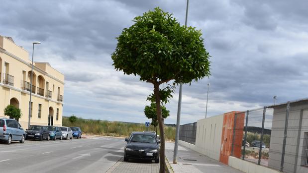 Barrio de La Pitilla de Puente Genil, donde sucedieron los hechos