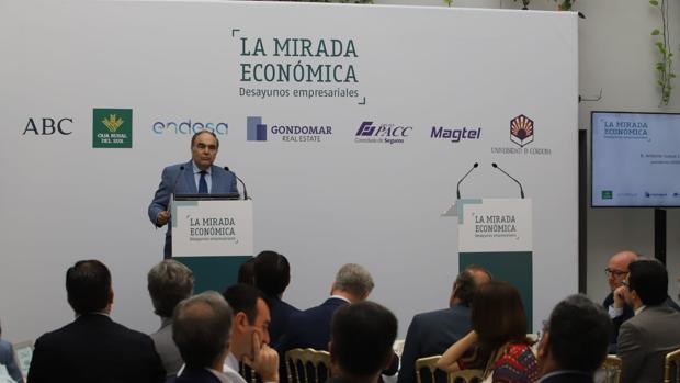 El presidente de Dcoop apela a buscar más mercados como futuro del sector del aceite