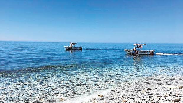 Invasión de medusas en la costa de Málaga