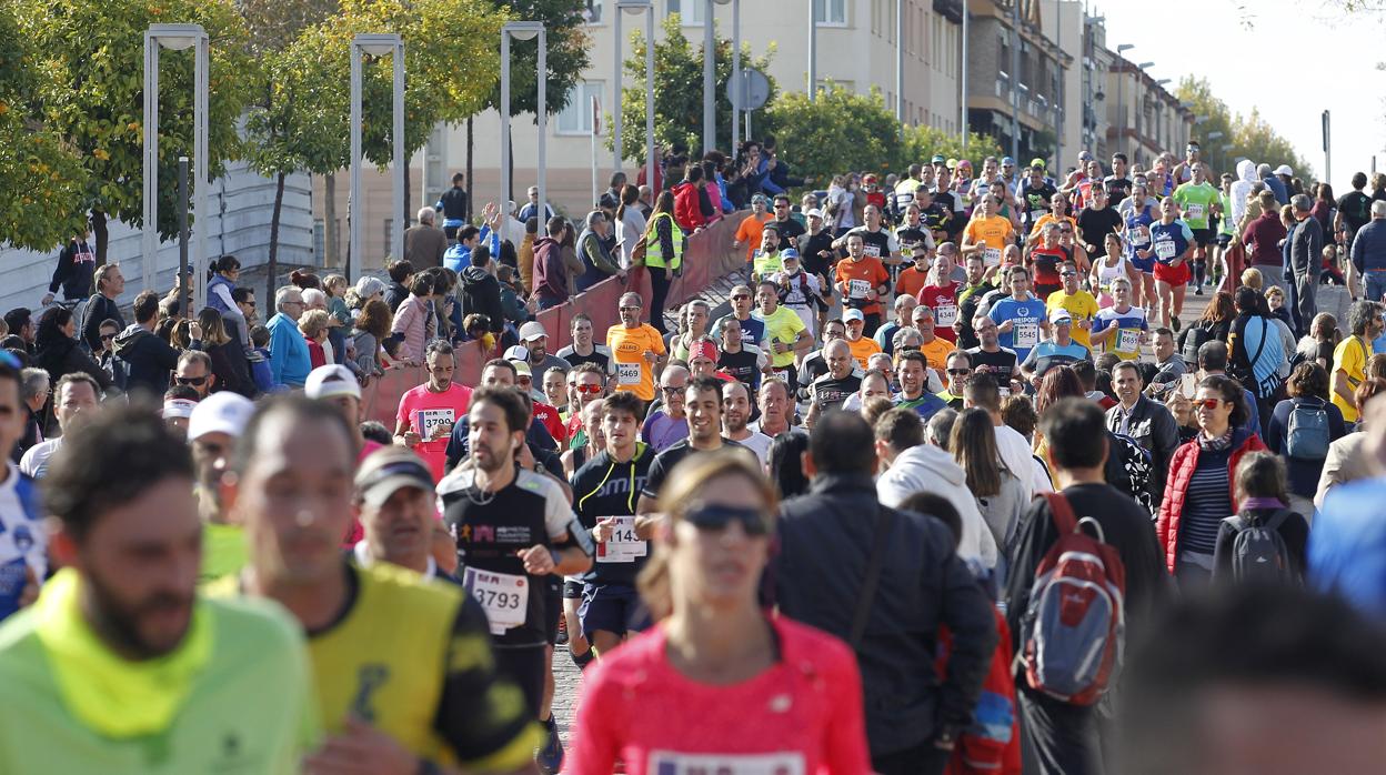 Corredores en el último kilómetro de la Media Maratón de Córdoba