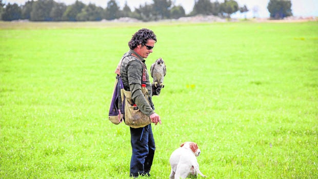 La cetrería y la caza con perros, en peligro si sale adelante la Ley animalista de Podemos