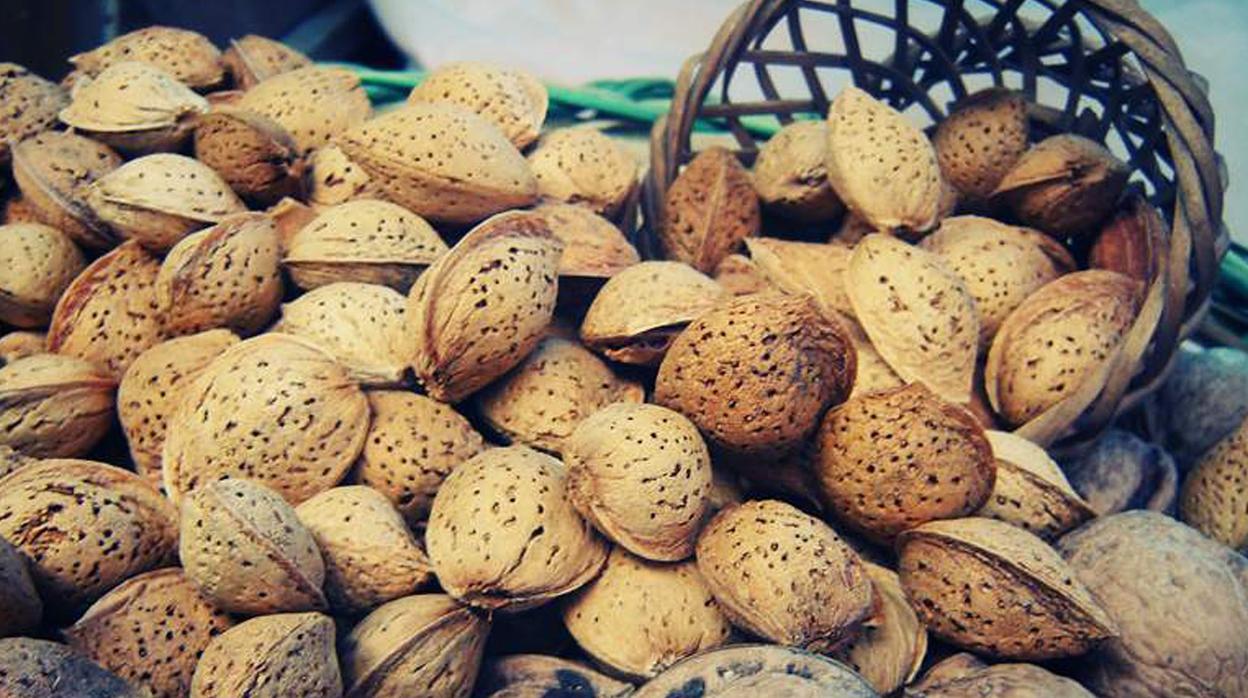 Almendras preparadas para su consumo