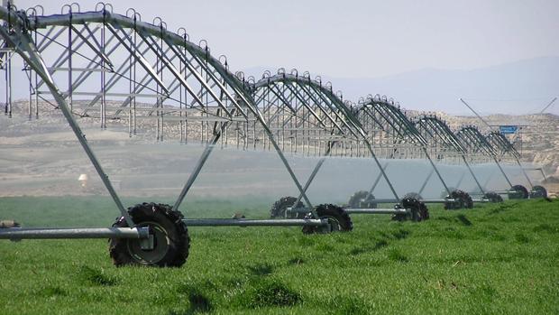 La Universidad de Córdoba desarrolla la inteligencia artificial para ahorrar agua en el campo