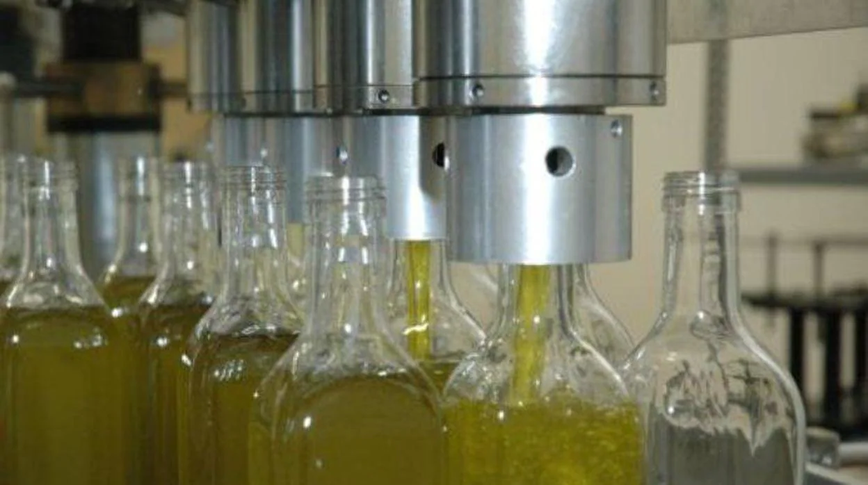 Proceso de embotellado de aceite de oliva