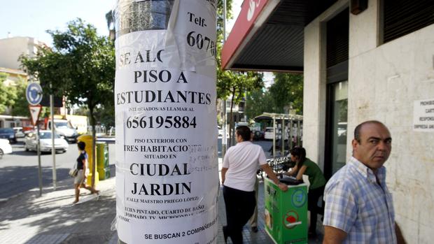 Ciudad Jardín: la meca de los estudiantes para compartir piso en Córdoba