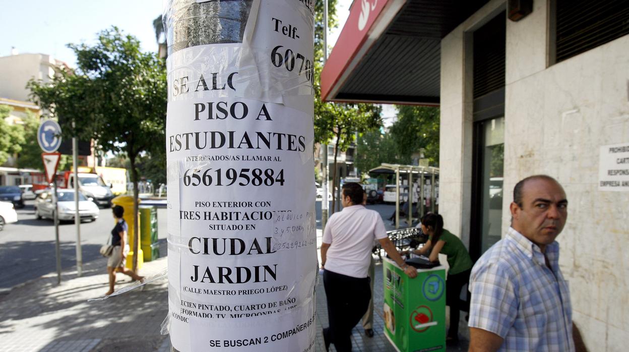 Anucio para buscar compañero de piso en Ciudad Jardín pegado en una farola