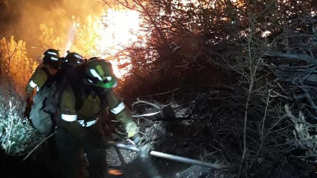 Estabilizado el incendio en Casares, en el que trabajan más de un centenar de bomberos forestales