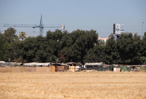 El campamento situado en el camino de Ronda