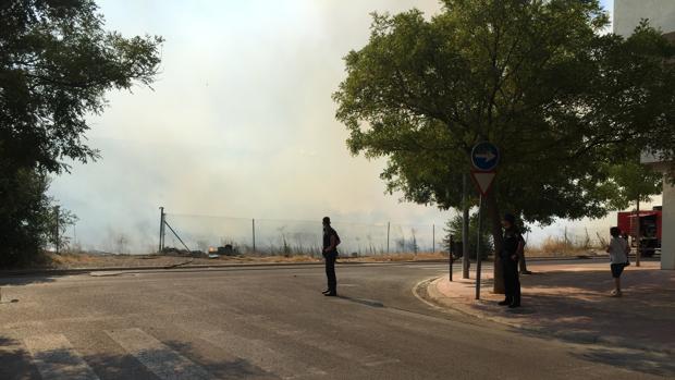Alarma por un incendio junto al mayor parque de Jaén