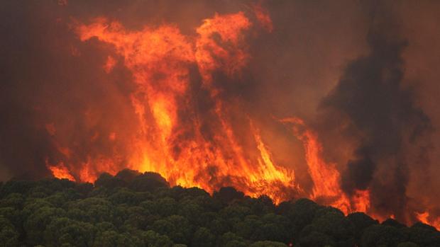Un incendio forestal pone en jaque a las localidades onubenses de Nerva y Campofrío