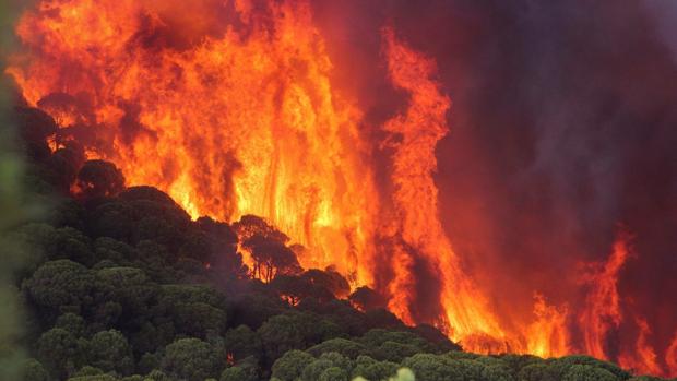 El incendio de Nerva mantiene sus dos focos activos pero los trabajos son favorables