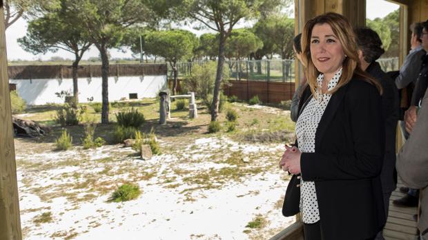 El Observatorio del Lince fue inaugurado sin tener licencias