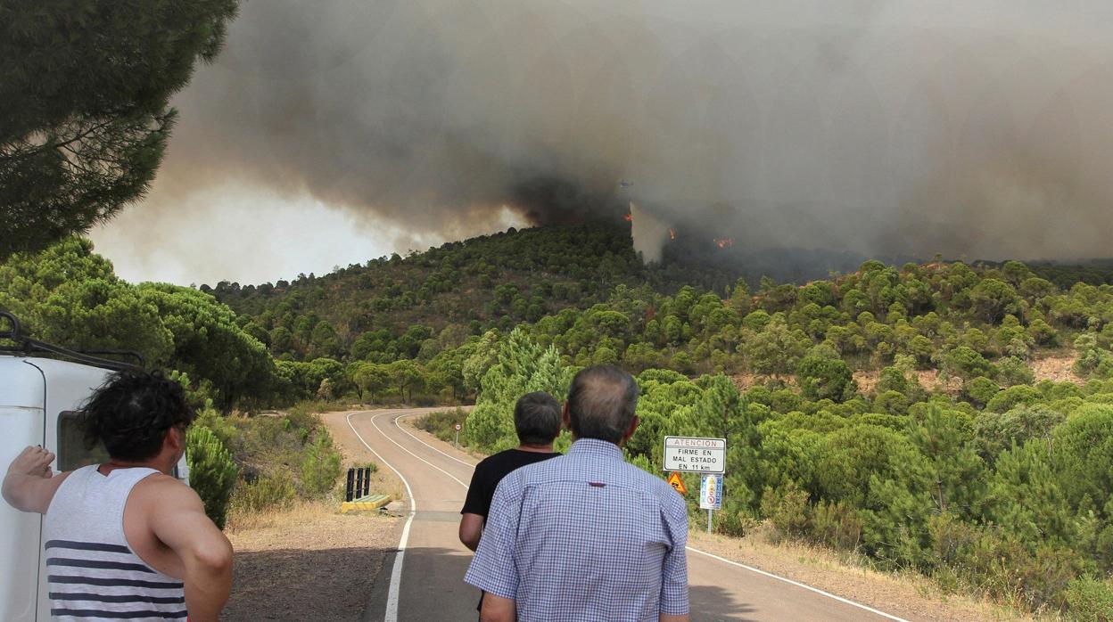 Incendio de Nerva