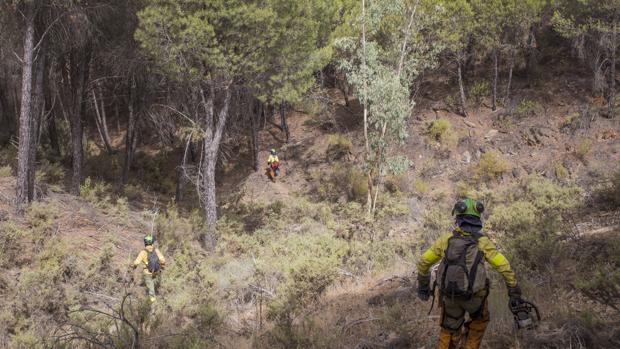 Los incendios de Nerva, Almonaster y otros dos fuegos en la provincia de Huelva fueron intencionados