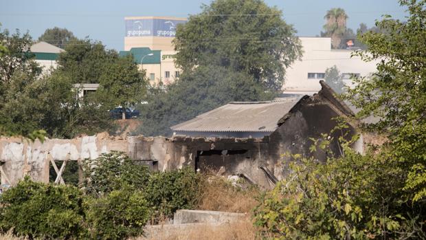 En el campamento rumano de Córdoba: «Yo dormía fuera por el calor, y en 20 minutos ardió todo»