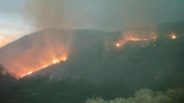 El incencio declarado en un paraje forestal de Luque quemó más de 20 hectáreas