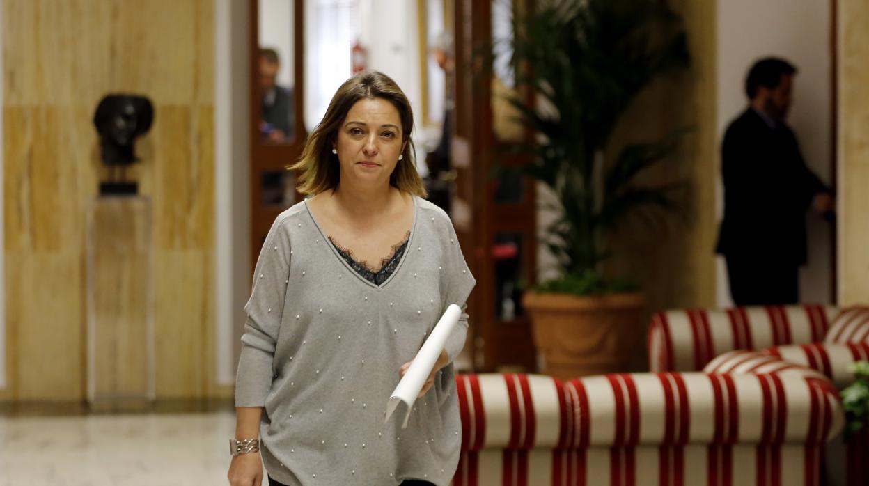 La Alcaldesa de Córdoba, Isabel Ambrosio (PSOE), en el Ayuntamiento