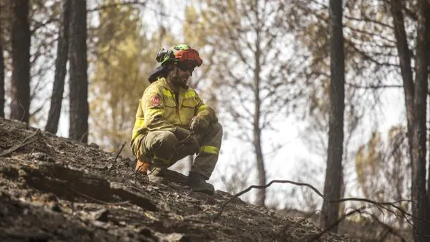 Vinculan el aumento de fuegos en Huelva a fallos en política forestal