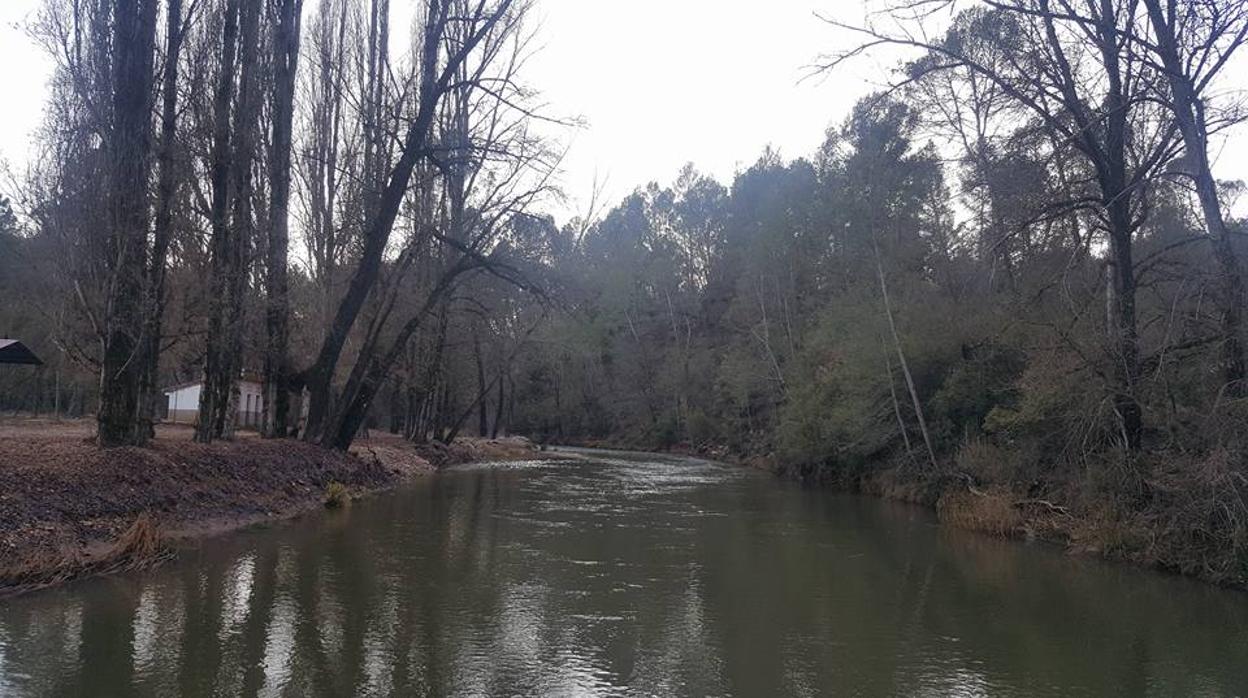 El accidente ha tenido lugar en el parque natural de Cazorla, Segura y Las Villas