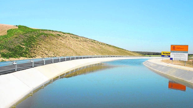 El regadío de Córdoba crece un 20% en un lustro y exige ya más agua