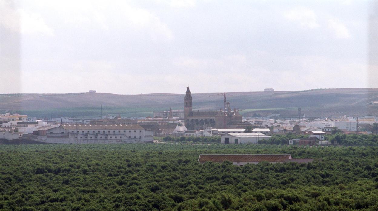 Viviendas de Palma del Río