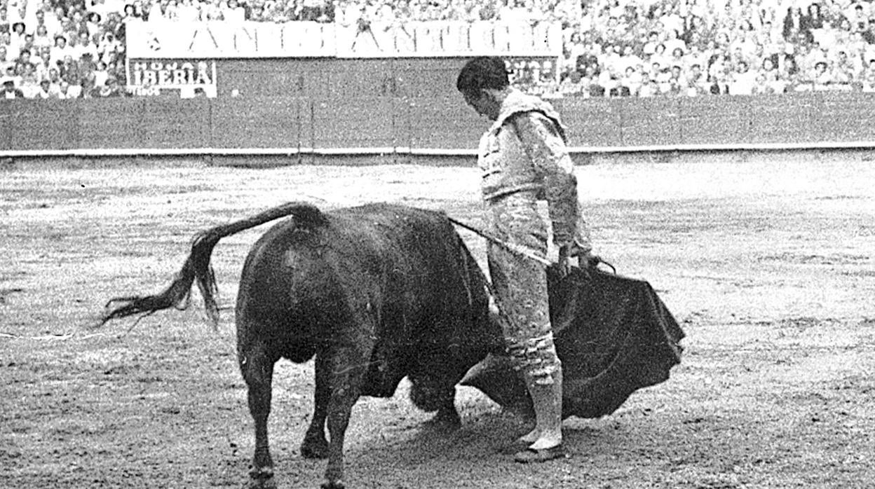 Manolete durante una corrida de toros