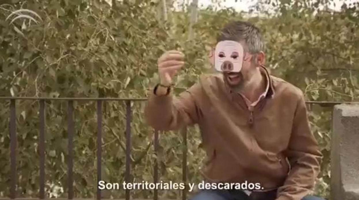 Imagen de la campaña en la que se representa como un cerdo a un determinado tipo de hombres