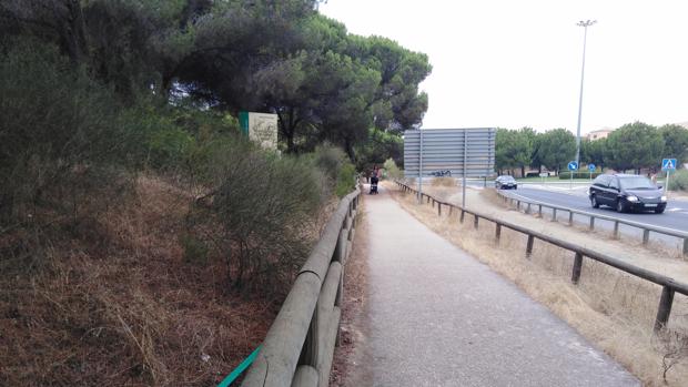 La Junta empieza ahora a reparar el entorno de Los Enebrales de Punta Umbría