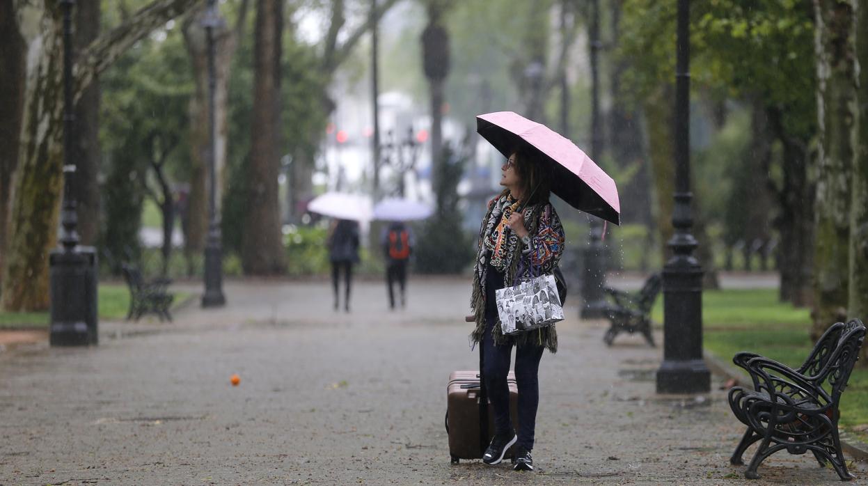 Una mujer pasa cubierta con un paraguas por los Jardines de la Agricultura de Córdoba