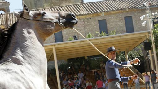 Una de las competiciones de la edición de Cabalcor de 2017