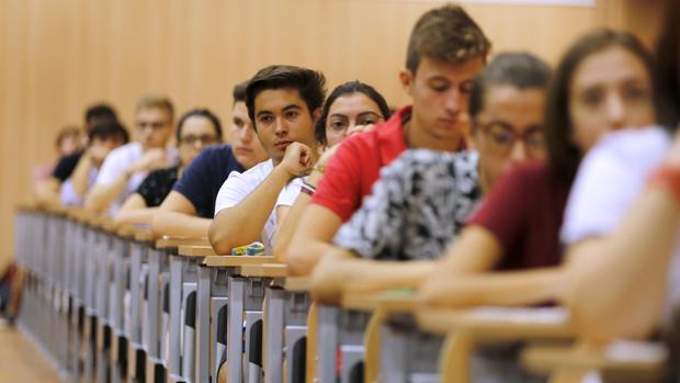 ¿Qué carrera puedes estudiar en las universidades de Andalucía si te examinas de la Selectividad en septiembre?
