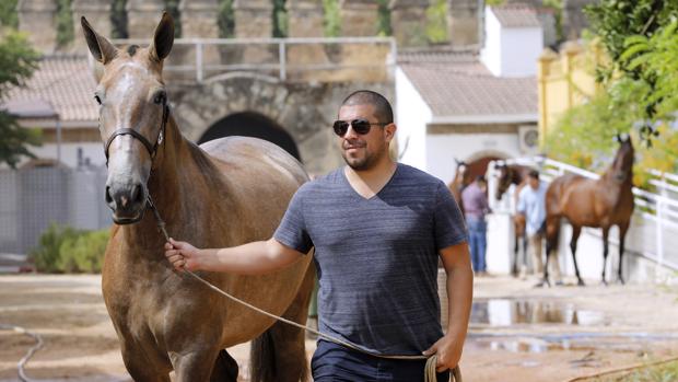 Alejandro Taylor: «La pasión por el caballo va en aumento en América; importamos los Pura Raza»