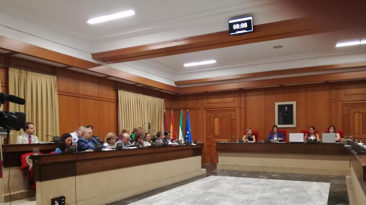 Imagen del la sesión del Pleno del Ayuntaniento de Córdoba que se está celebrando hoy