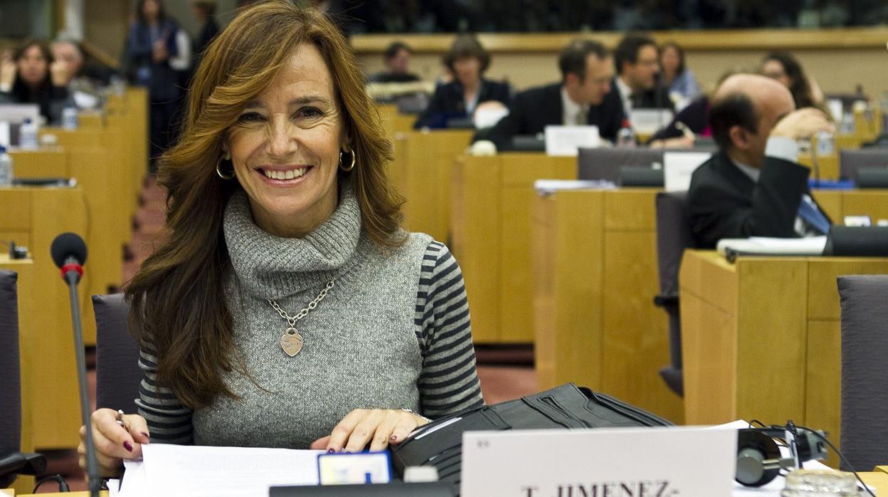 La eurodiputada sevillana, en su escaño del Parlamento Europeo