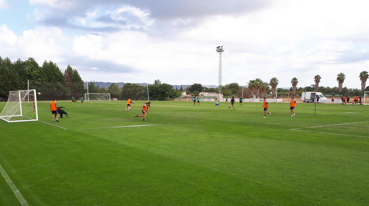 Estado del césped, en la vuelta del Córdoba CF a la Ciudad Deportiva