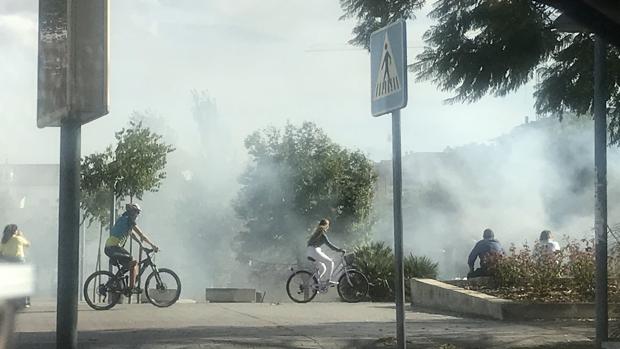 Arde una caseta en el Vial Norte