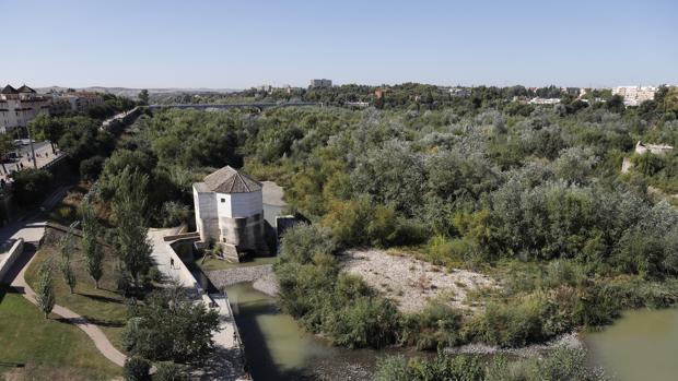 Los Sotos de la Albolafia de Córdoba duplican su espacio en el río desde su protección en 2001