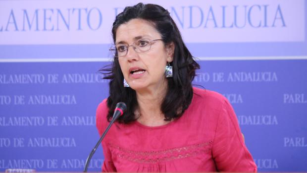 Así será la candidatura de Equo para las elecciones autonómicas del 2-D tras salirse de Adelante Andalucía