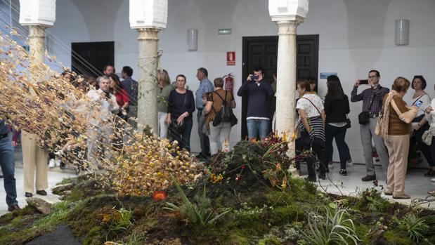 ¿Es un meteorito o un volcán? Los espejismos en el Festival Flora de Córdoba