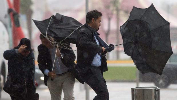 Caída de árboles, inundaciones y nieve: las primeras consecuencias del temporal en Andalucía