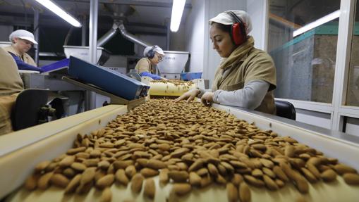 El presidente de Almendras Morales, en las instalaciones del grupo en Priego