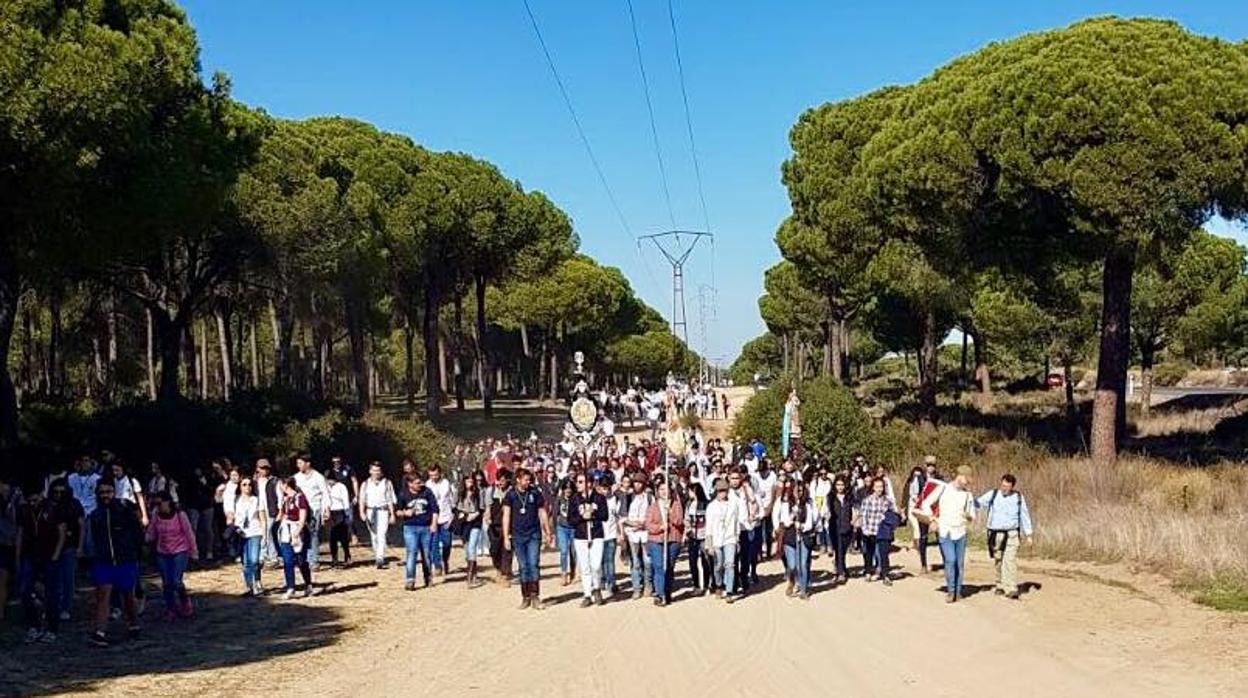 Peregrinación de los jóvenes de la Diócesis de Córdoba a la aldea de El Rocío