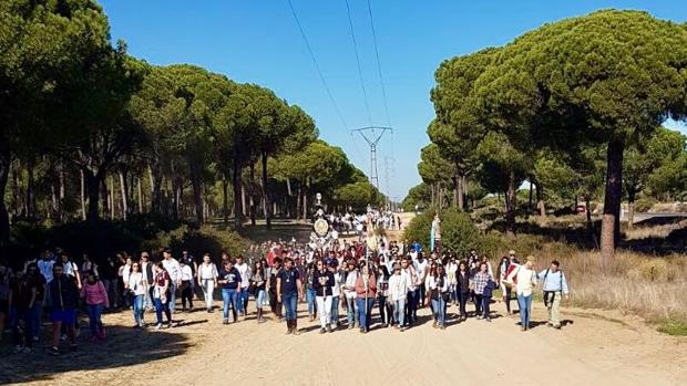 Más de 400 jóvenes cofrades de Córdoba caminan hacia la aldea de El Rocío